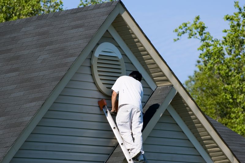 Siding Painting Service detail